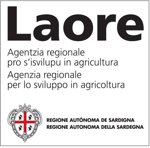 Giornata corso di olivicoltura (potatura)
