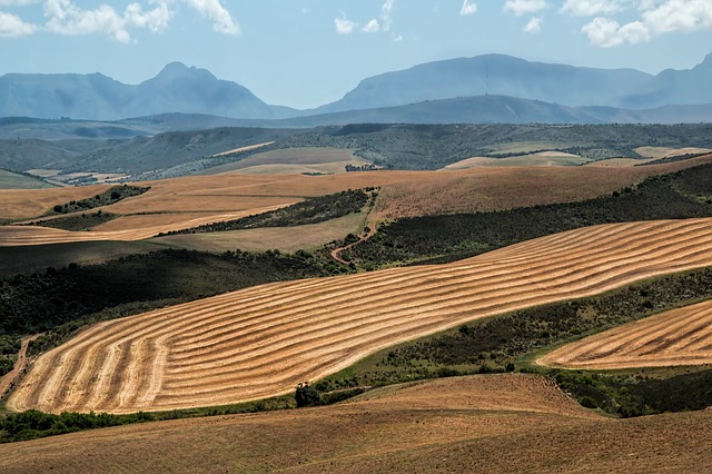 AVVISO PROGETTO SVILUPPO SARDEGNA AGRIFOOD