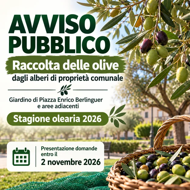 Avviso pubblico per la raccolta delle olive - stagione olearia 2026