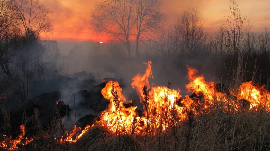 PRESCRIZIONI ANTINCENDIO 2023 - PULIZIA TERRENI E CORTILI