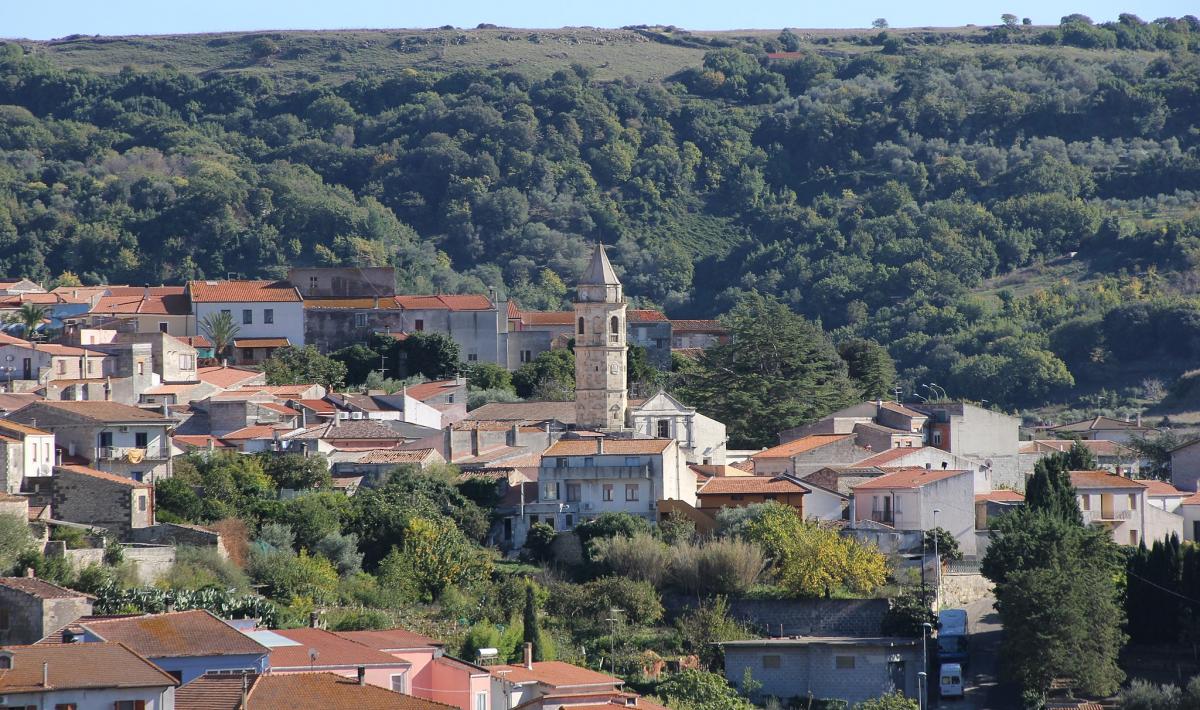 ORDINANZA DI DIVIETO DI PASCOLO IN TERRENI COMUNALI LIBERI IN AGRO