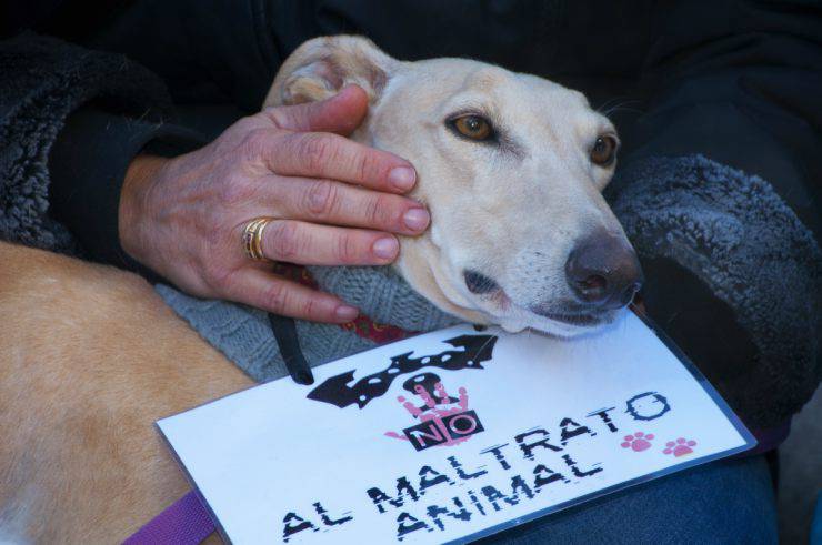 AVVISO PUBBLICO - CONTROLLI A SALVAGUARDIA DELLA TUTELA DEI CANI