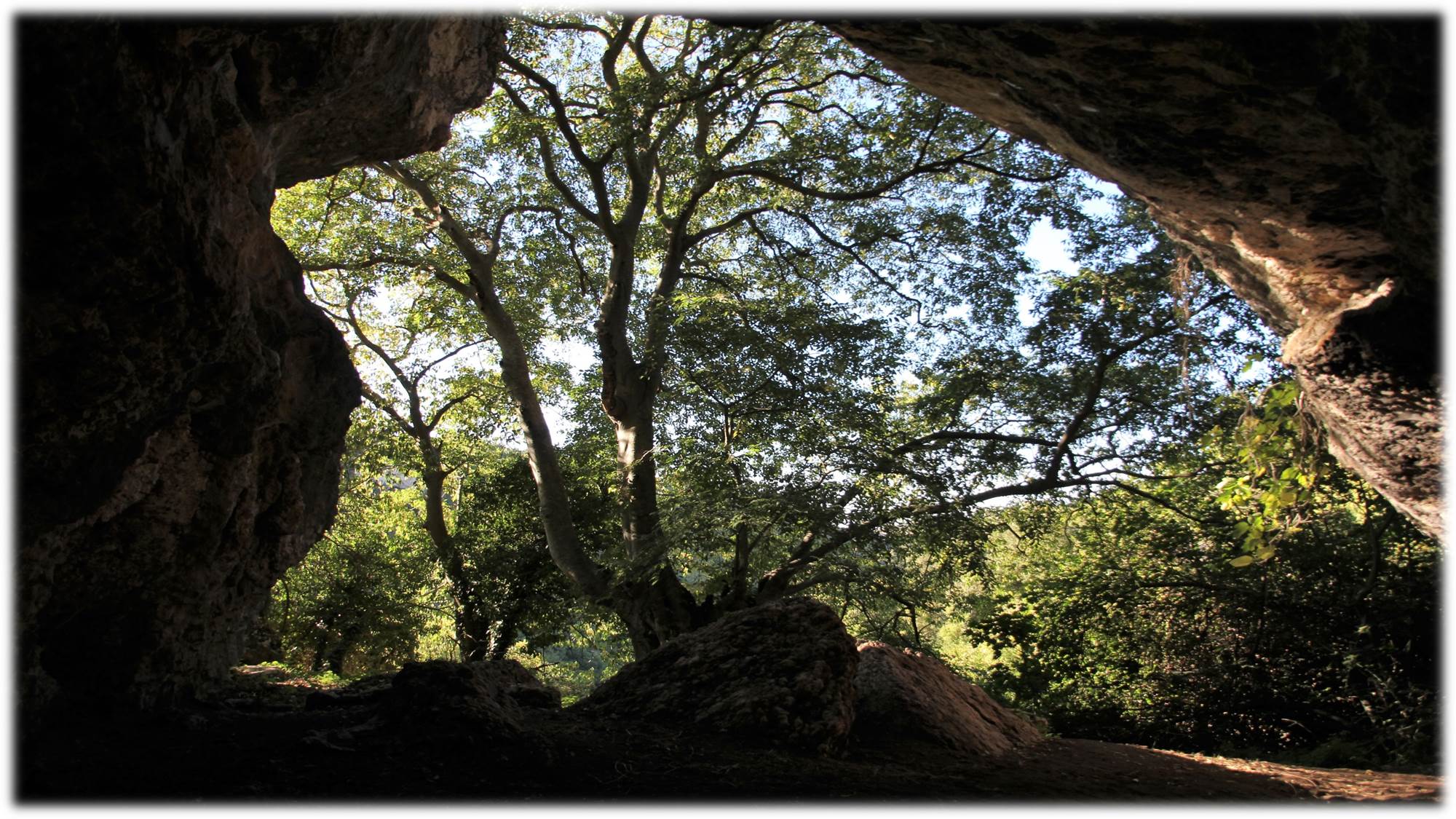 Grotta: Filiestru