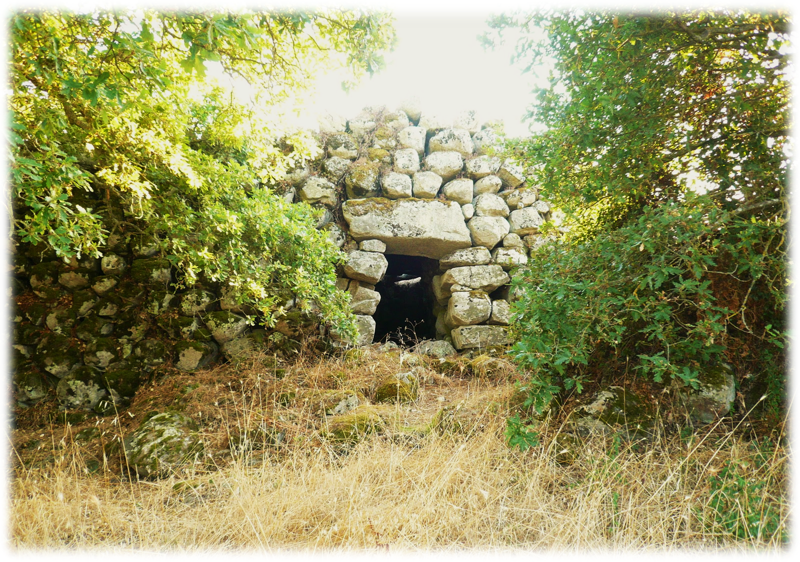 Nuraghe Coladorzos