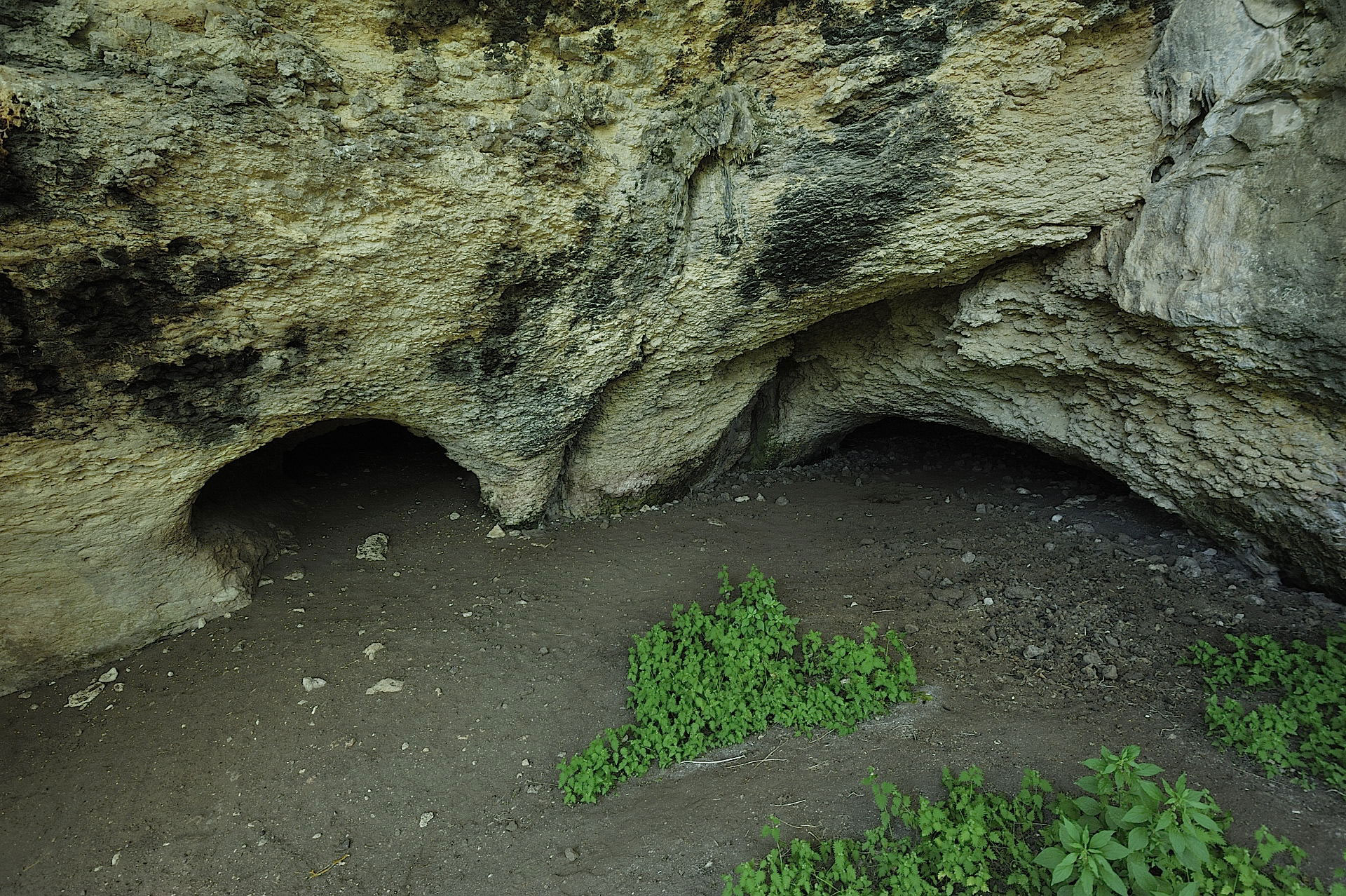 Grotta Filiestru